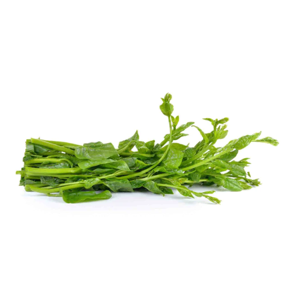 Organically grown Basale / Malabar Spinach
