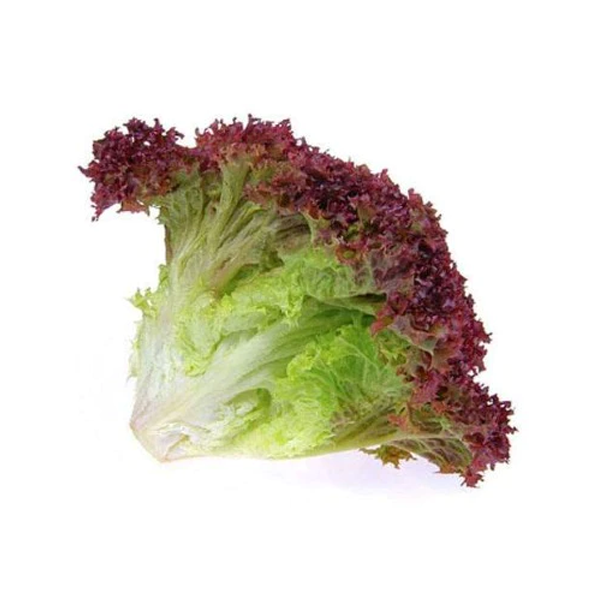 Lettuce Lollo Rosso