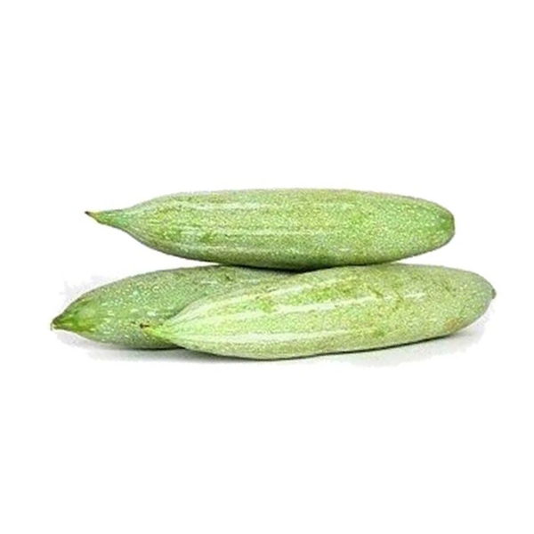 Snake Gourd