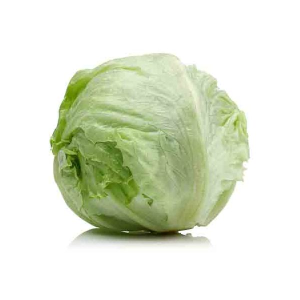 Lettuce Iceberg