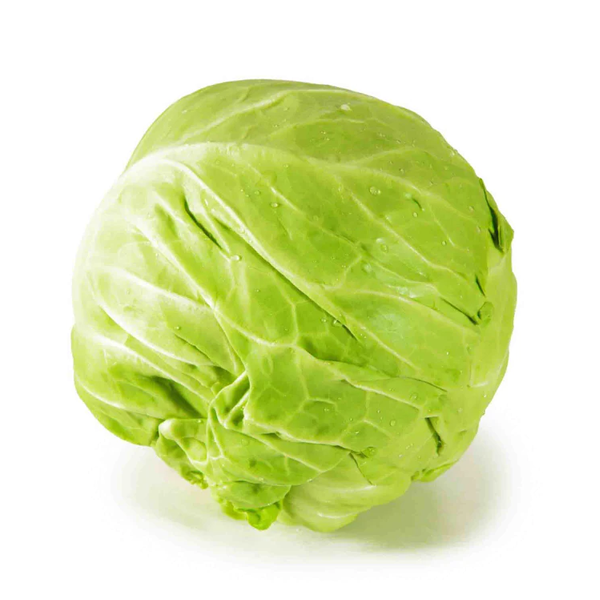 Cabbage