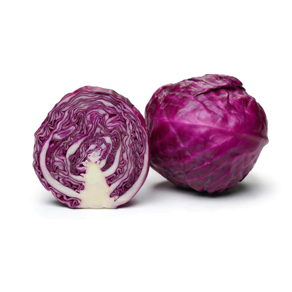 Cabbage Red