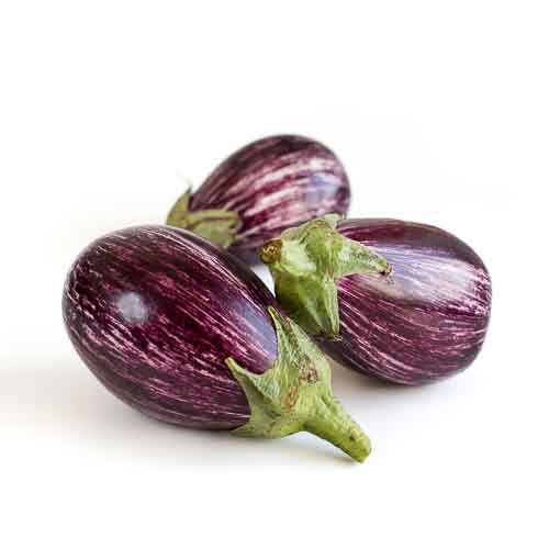 Brinjal Purple Round