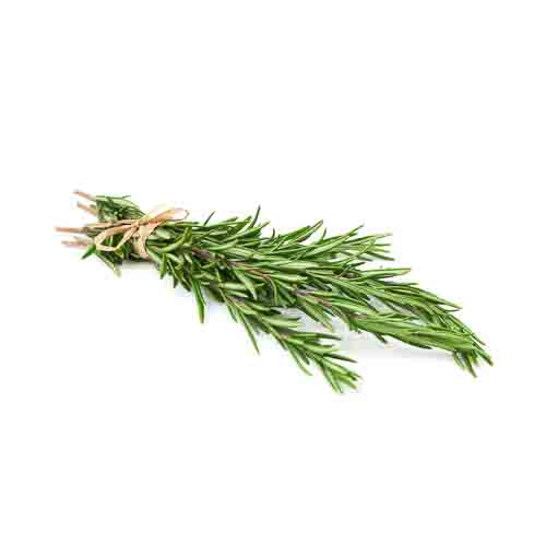 Rosemary