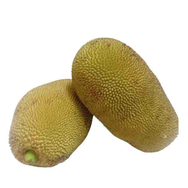 Raw Jackfruit