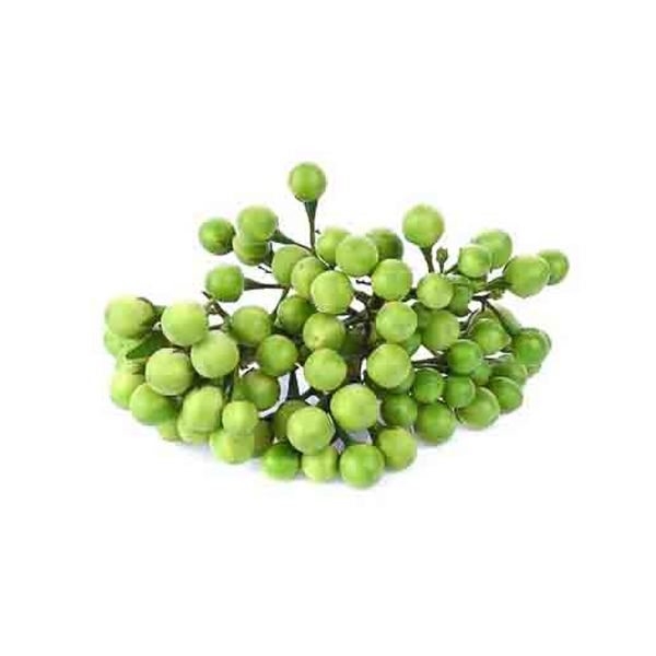Organically Grown Turkey Berry