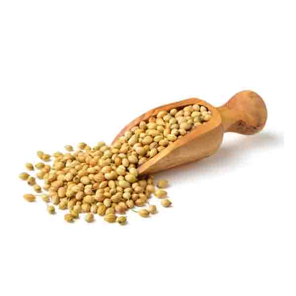 Coriander Seeds