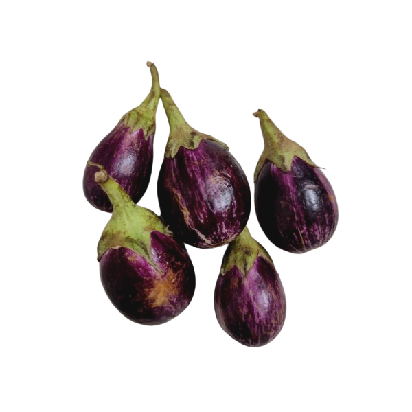 MisFit Brinjal Purple Round