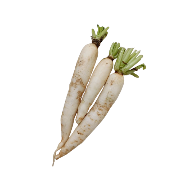 MisFit Radish white