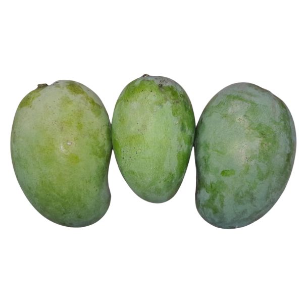 Amrapali Mango