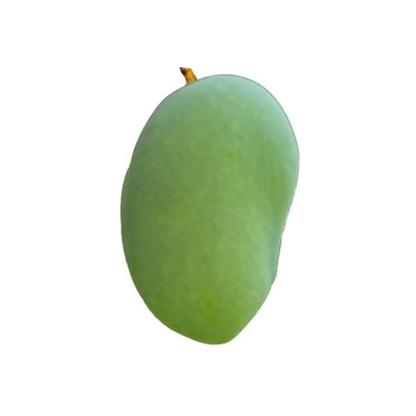 Chausa Mango