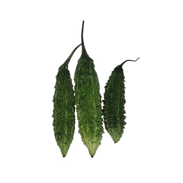 MisFit Bitter Gourd