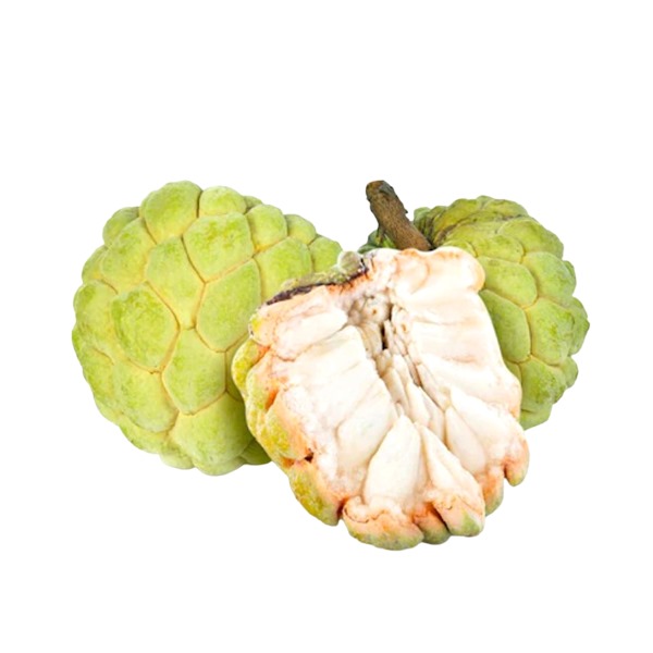 Jumbo Custard Apple