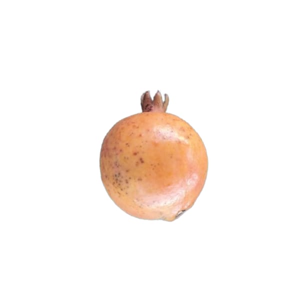 Misfit Pomegranate( (Natural Marks / Small Dents)