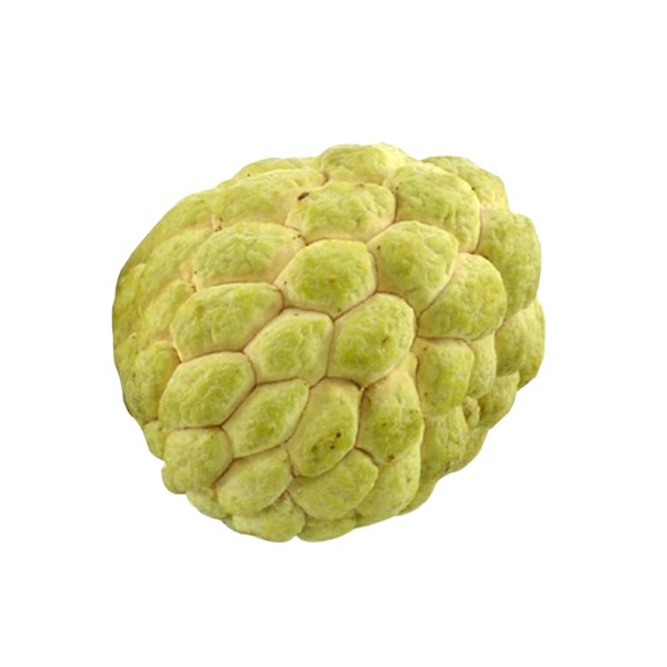 Golden Custard Apples 2 to 3 pcs (1000g - 1100g)