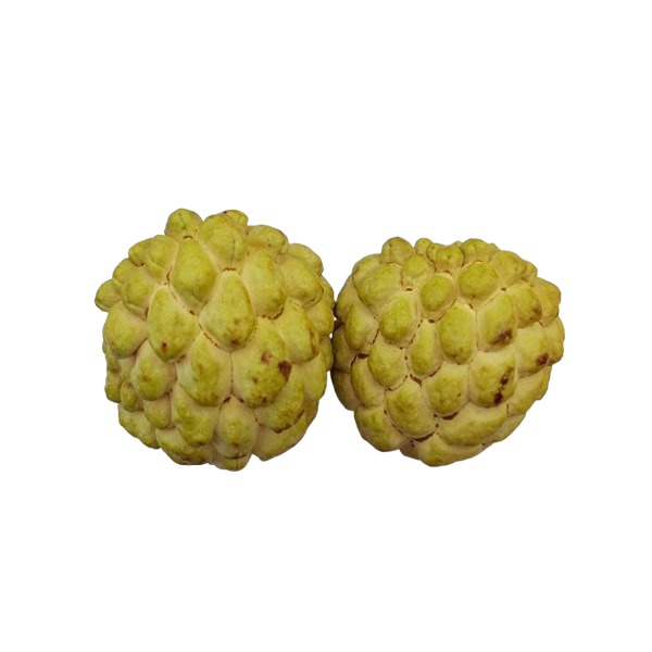 Golden Custard Apples 2 pcs (700g - 800g)