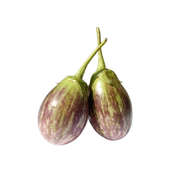 Organically Grown Brinjal Purple Vari