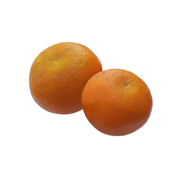 Organic Kinnow Oranges 3 pcs (400g - 500g)