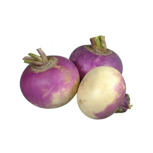 Organic Turnip Purple
