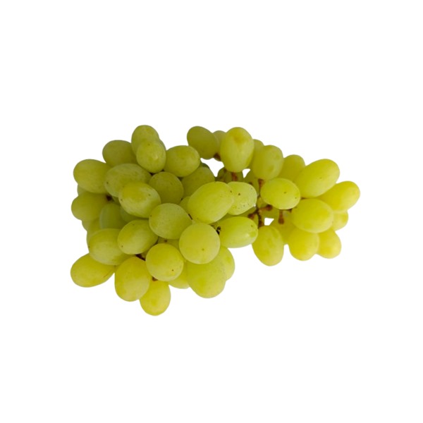 Green Grapes (Thompson Seedless Variety)