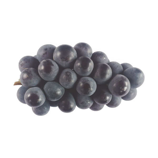 Bangalore Blue Grapes