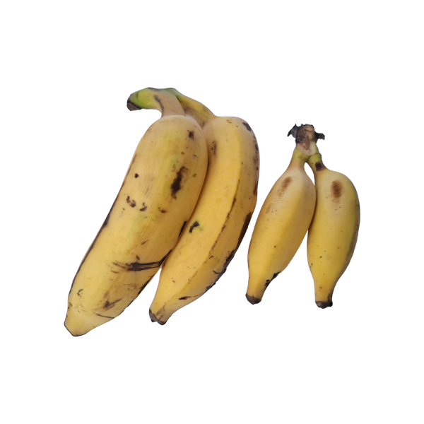MisFit Elakki Banana (Small Size with Natural Marks)